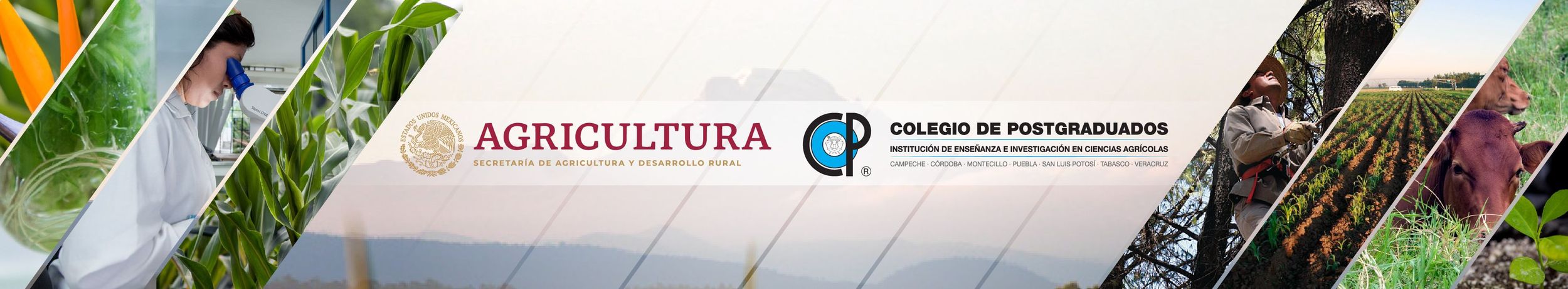 Colegio-de-postgraduados