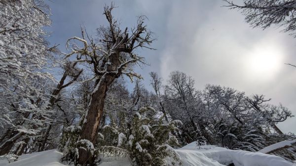 ESENCIA-Bariloche_2