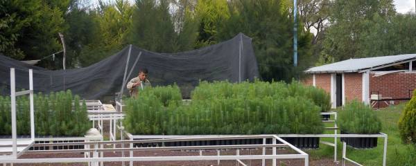 CP-Nursery
